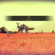 Illustration for article titled First day of No Mans Sky in screenshots (on PC)